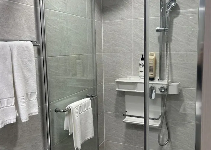 The Raffinato Residece At Myeongdong 3* ソウル特別市